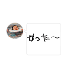 みゃあ④（個別スタンプ：15）