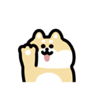 柴犬のリアクション 動くスタンプ（個別スタンプ：1）