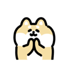 柴犬のリアクション 動くスタンプ（個別スタンプ：3）