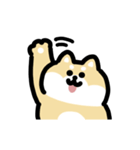 柴犬のリアクション 動くスタンプ（個別スタンプ：4）
