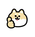 柴犬のリアクション 動くスタンプ（個別スタンプ：6）