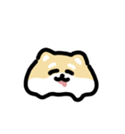柴犬のリアクション 動くスタンプ（個別スタンプ：12）