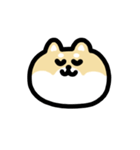 柴犬のリアクション 動くスタンプ（個別スタンプ：13）