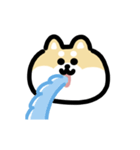 柴犬のリアクション 動くスタンプ（個別スタンプ：14）