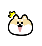 柴犬のリアクション 動くスタンプ（個別スタンプ：15）
