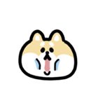 柴犬のリアクション 動くスタンプ（個別スタンプ：17）