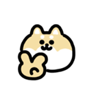柴犬のリアクション 動くスタンプ（個別スタンプ：19）