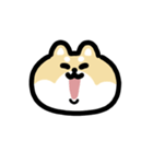 柴犬のリアクション 動くスタンプ（個別スタンプ：21）