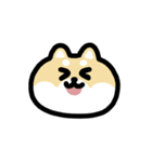 柴犬のリアクション 動くスタンプ（個別スタンプ：22）