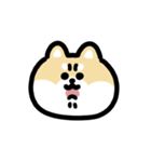 柴犬のリアクション 動くスタンプ（個別スタンプ：23）