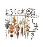 大人の挨拶♡品よくおしゃれに♡ハーブ＆花（個別スタンプ：13）