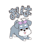 『シュナウザー』ハピチャラ☆1（個別スタンプ：4）