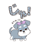『シュナウザー』ハピチャラ☆1（個別スタンプ：5）