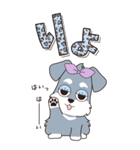 『シュナウザー』ハピチャラ☆1（個別スタンプ：8）