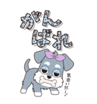 『シュナウザー』ハピチャラ☆1（個別スタンプ：13）