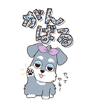 『シュナウザー』ハピチャラ☆1（個別スタンプ：14）