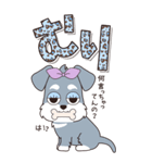 『シュナウザー』ハピチャラ☆1（個別スタンプ：16）