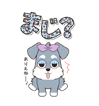 『シュナウザー』ハピチャラ☆1（個別スタンプ：18）