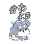 『シュナウザー』ハピチャラ☆1（個別スタンプ：20）