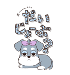 『シュナウザー』ハピチャラ☆1（個別スタンプ：24）