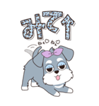 『シュナウザー』ハピチャラ☆1（個別スタンプ：25）