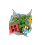 Special Various moods（個別スタンプ：6）