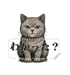 ブリティッシュショートヘ《アメッセスタ》（個別スタンプ：5）