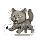 ブリティッシュショートヘ《アメッセスタ》（個別スタンプ：8）