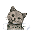 ブリティッシュショートヘ《アメッセスタ》（個別スタンプ：10）