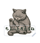 ブリティッシュショートヘ《アメッセスタ》（個別スタンプ：11）