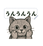 ブリティッシュショートヘ《アメッセスタ》（個別スタンプ：17）