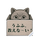 ブリティッシュショートヘ《アメッセスタ》（個別スタンプ：19）
