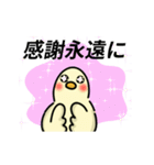 動く！愉快なあひる（個別スタンプ：15）