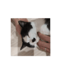 まるちゃん movie3（個別スタンプ：12）
