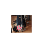 かわいいちょこちゃんだよ（個別スタンプ：3）