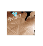 かわいいちょこちゃんだよ（個別スタンプ：7）