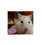 ハムハムたちの日常（個別スタンプ：8）