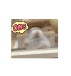 ハムハムたちの日常（個別スタンプ：11）