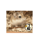 ハムハムたちの日常（個別スタンプ：15）