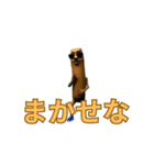 動く！マルータ君（個別スタンプ：7）