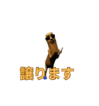 動く！マルータ君（個別スタンプ：11）
