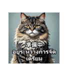ネコたちのいろんな気分（個別スタンプ：11）