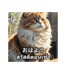 ネコたちのいろんな気分（個別スタンプ：17）