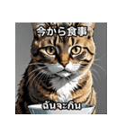 ネコたちのいろんな気分（個別スタンプ：23）
