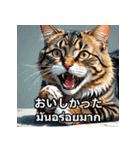 ネコたちのいろんな気分（個別スタンプ：29）
