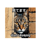 ネコたちのいろんな気分（個別スタンプ：34）