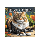 ネコたちのいろんな気分（個別スタンプ：38）