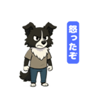 ボーダーコリーのカイの喜怒哀楽スタンプ 1（個別スタンプ：2）