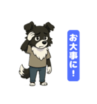 ボーダーコリーのカイの喜怒哀楽スタンプ 1（個別スタンプ：10）