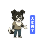 ボーダーコリーのカイの喜怒哀楽スタンプ 1（個別スタンプ：11）